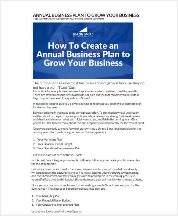Annual Business Plan Template Word