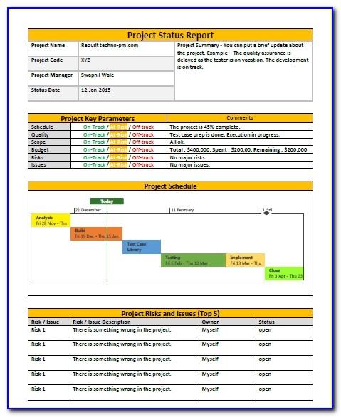 Projects Report Template Excel