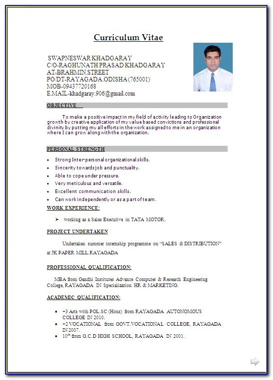 Resume Templates Word For Experienced Free Download