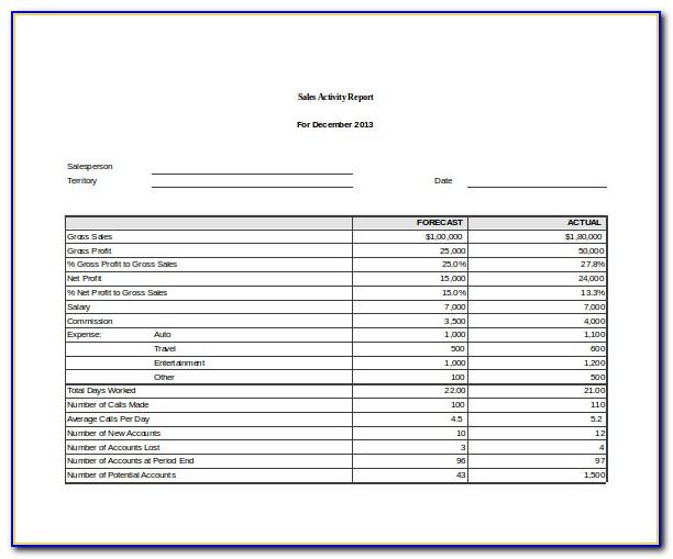 Sales Activity Report Format