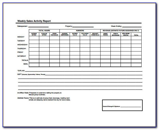 Sales Activity Report Template Free Download