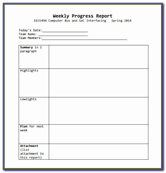 Weekly Activity Report Template Air Force