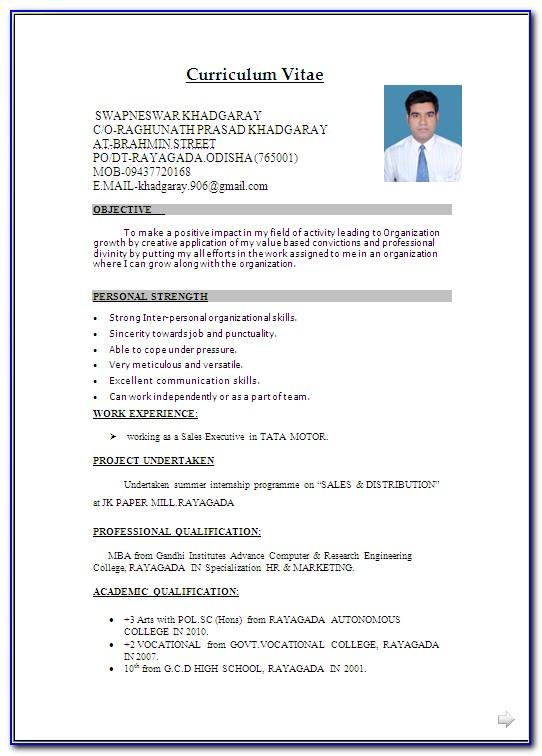 Word Document Resume Template Free