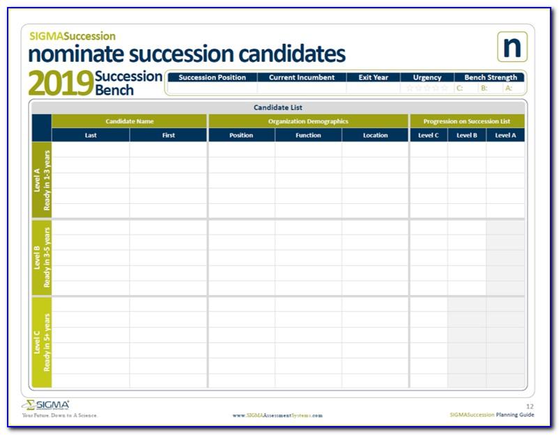 Succession Planning Templates And Tools