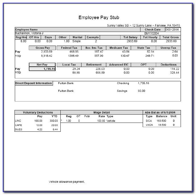 Template For Employee Pay Stub