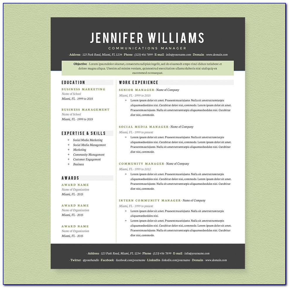 Template For Professional Resume In Word