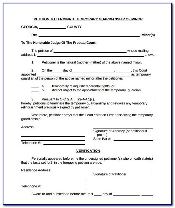 Temporary Guardianship Letter Template For Travel