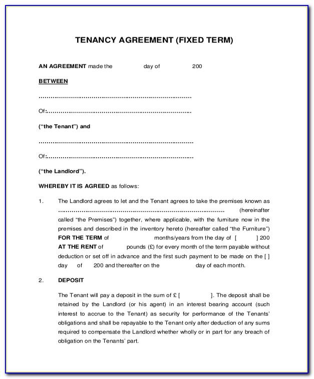 Tenant Rental Agreement Template