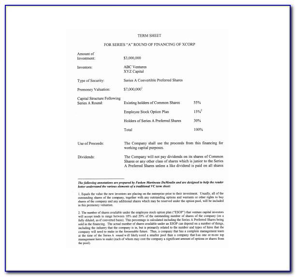 Term Sheet Template For Joint Venture