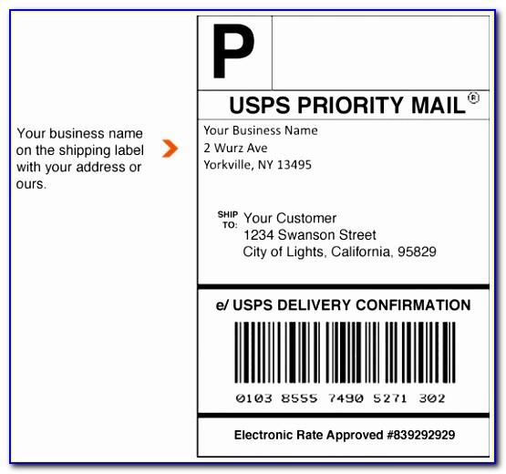 Usps Priority Mail Label Template 228