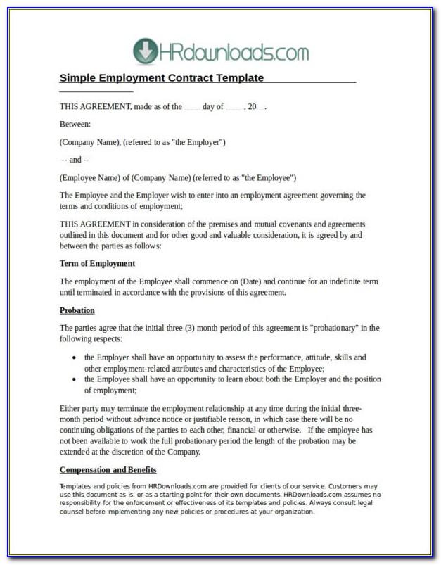 Basic Employment Contract Template Free Nz
