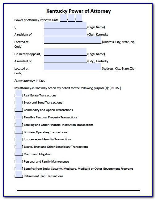 Power Of Attorney Form Example