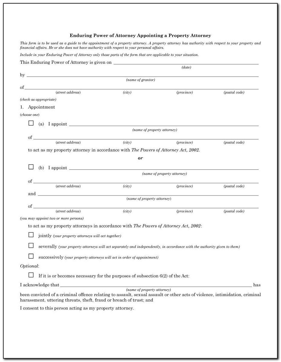 Power Of Attorney Form Examples