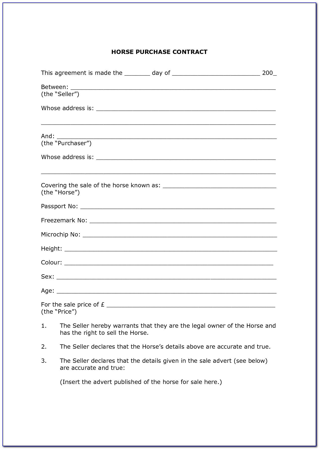 Selling Horse Contract Template
