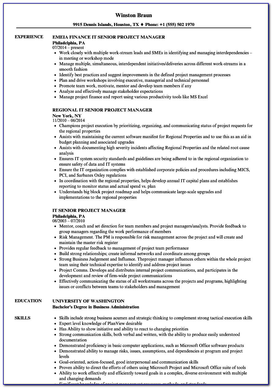 Senior Project Manager Cv Template