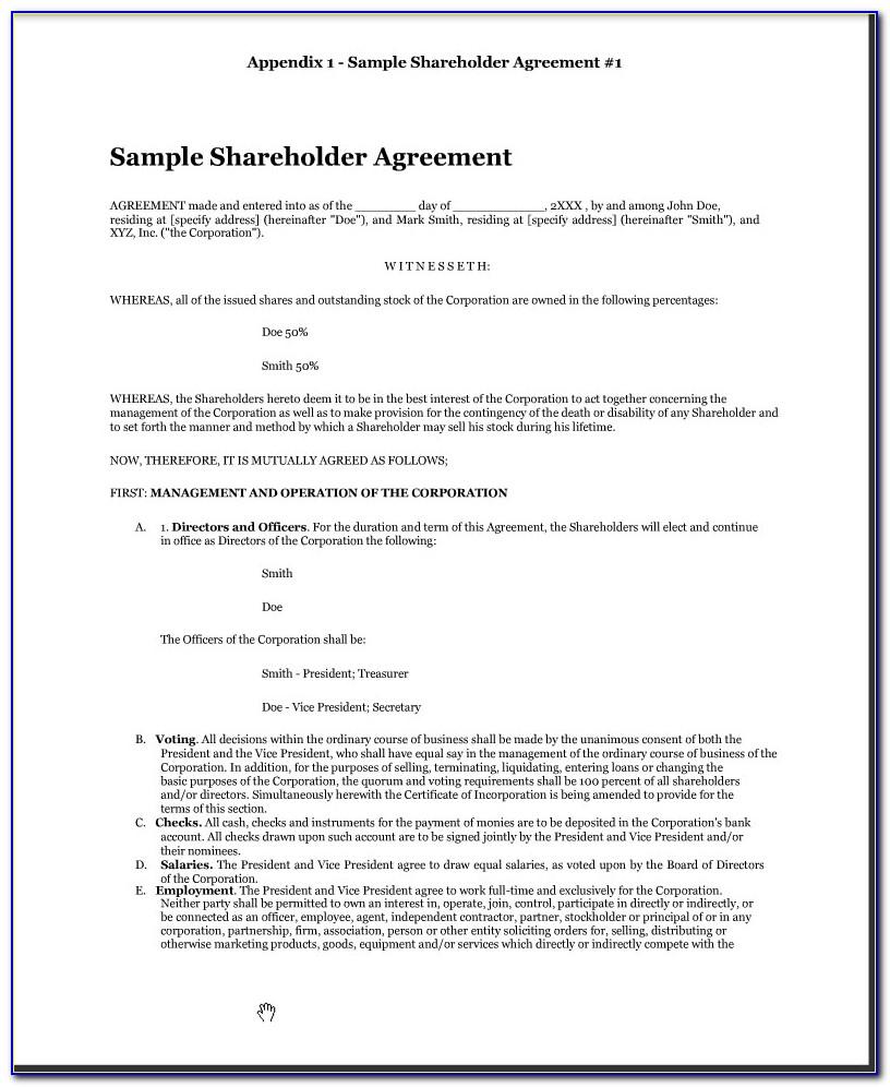 shareholder-note-payable-template