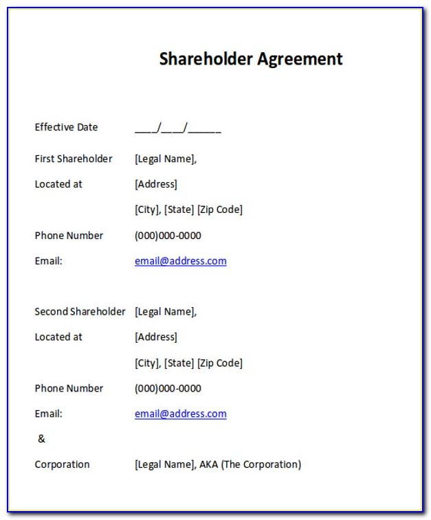 Shareholders Agreement Template South Africa