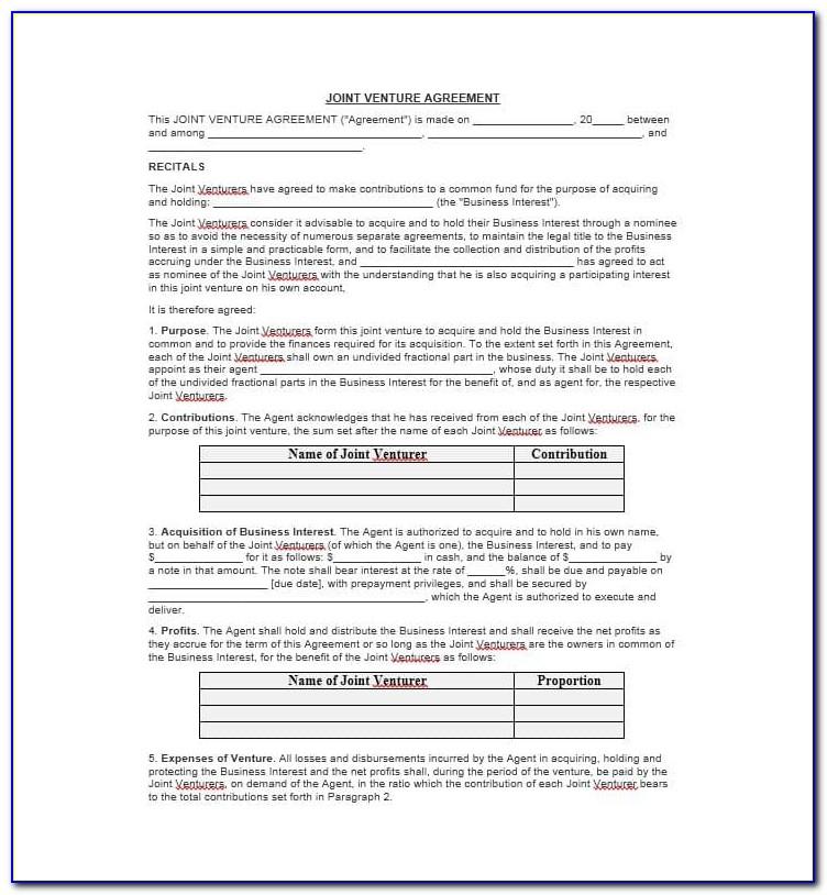 Simple Joint Venture Agreement Example