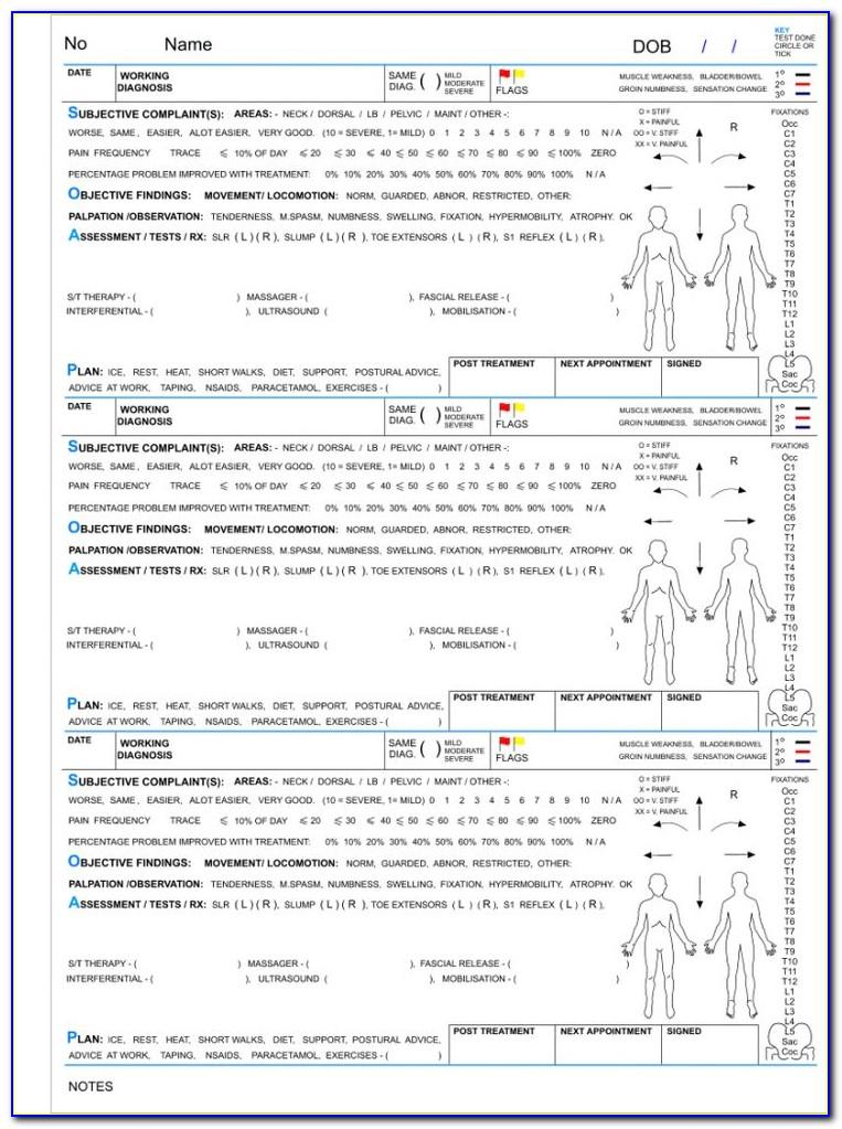Soap Note Massage Therapy Template