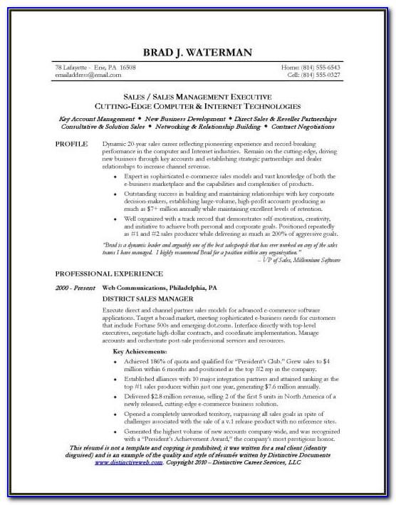 Field Sales Executive Resume Format