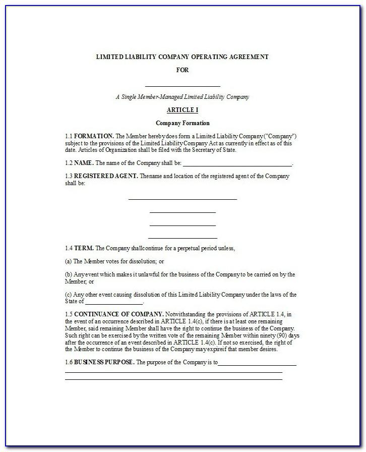 Florida Llc Operating Agreement Template Free