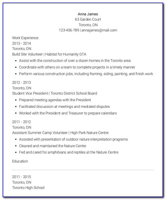 Resume Template No Experience