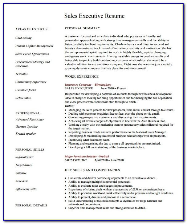 Sales Executive Experience Resume Format