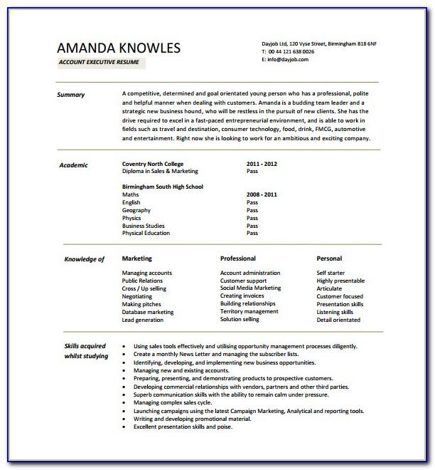 Sales Manager Cv Templates Word