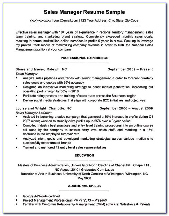 Sales Manager Cv Word Format India
