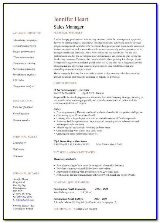 Sales Manager Resume Template Download