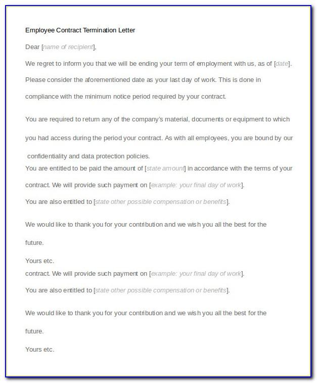 Sample Employee Contract Letter