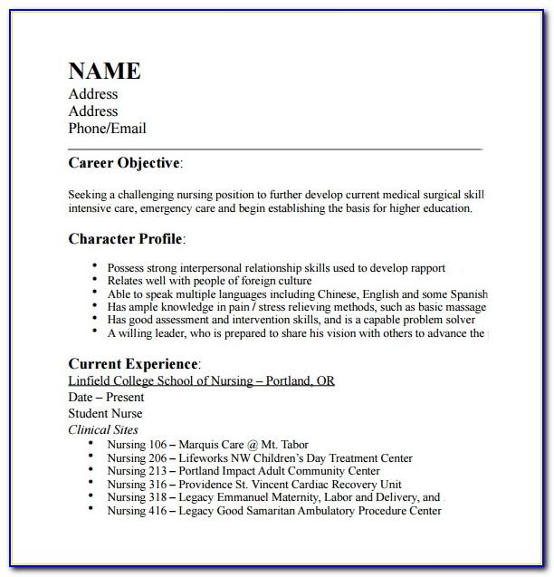 Biodata Resume Format Doc