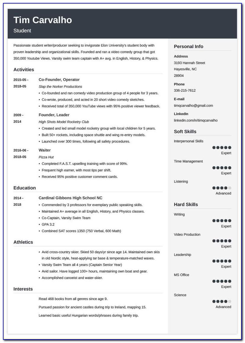 Curriculum Vitae Examples For Highschool Students