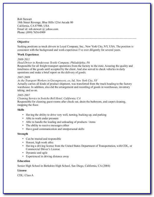 Cv Examples For Students In High School