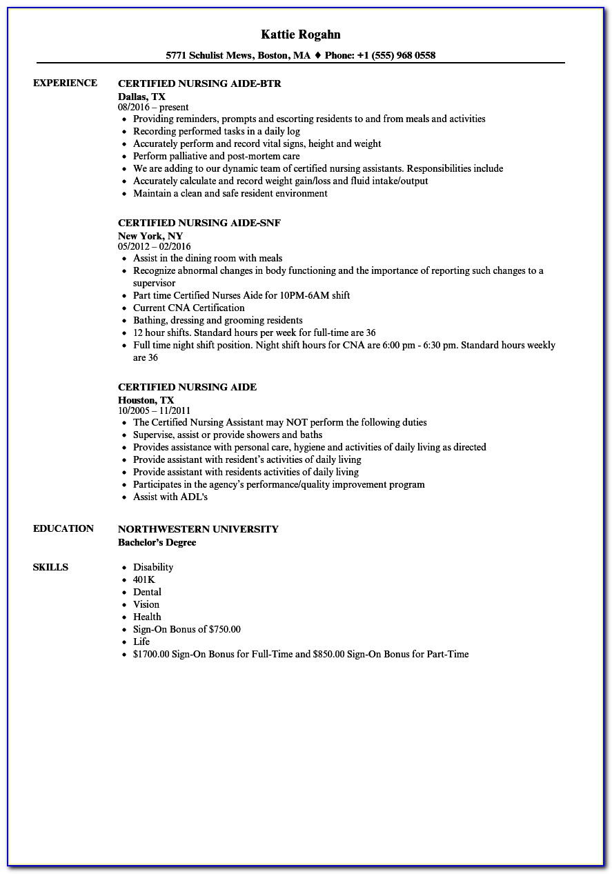 Cv Template For Students With No Work Experience
