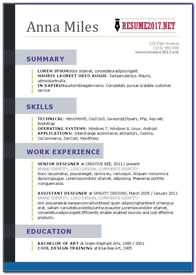 Infographic Resume Template Word Download Free