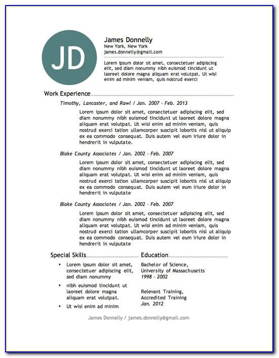 Infographic Resume Template Word Free Download