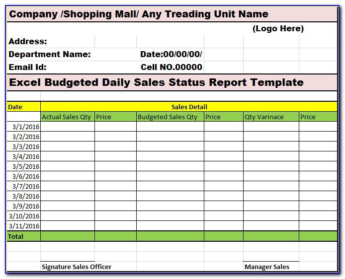 Restaurant Daily Sales Report Sample
