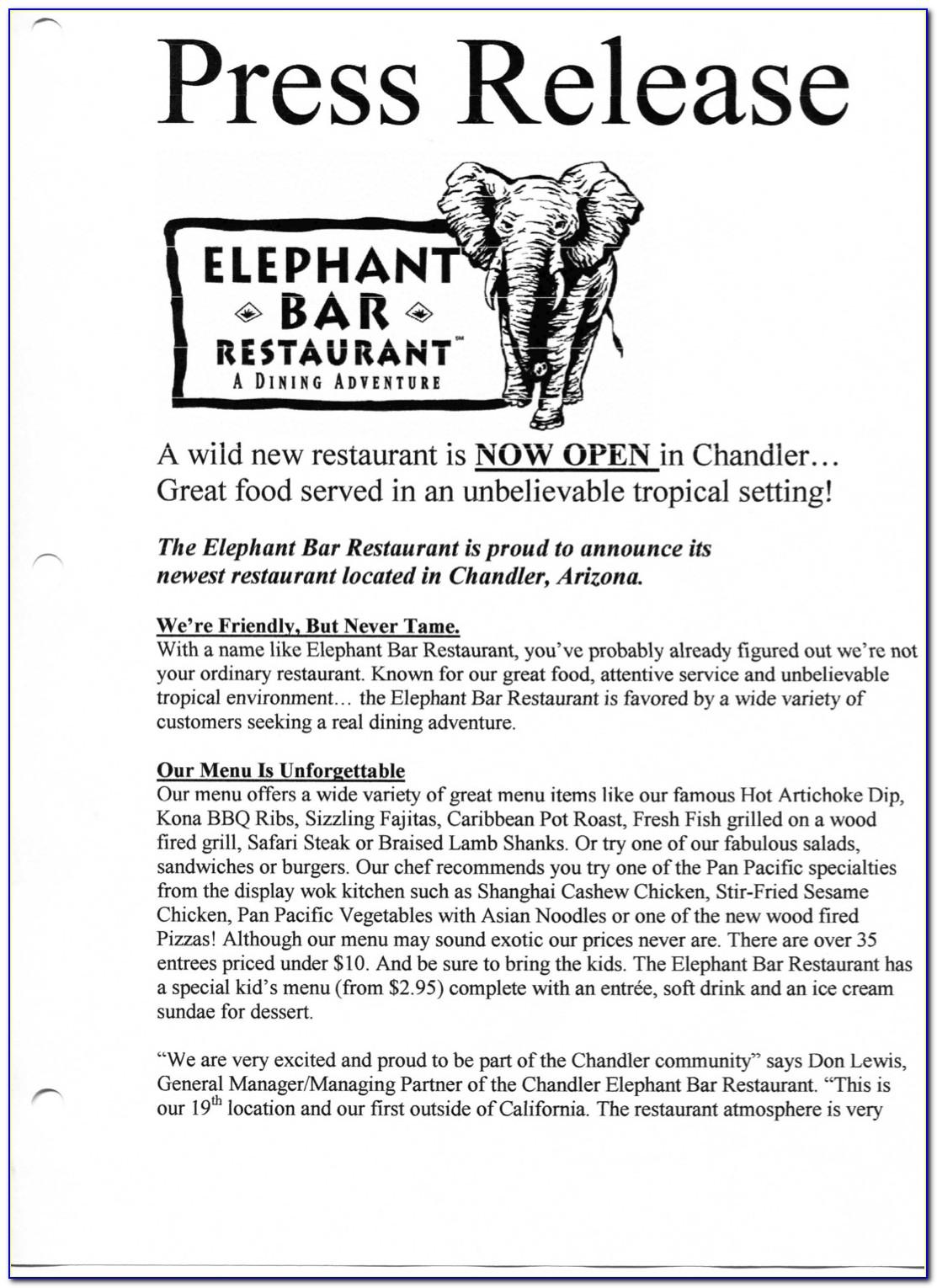 Restaurant Opening Press Release Example