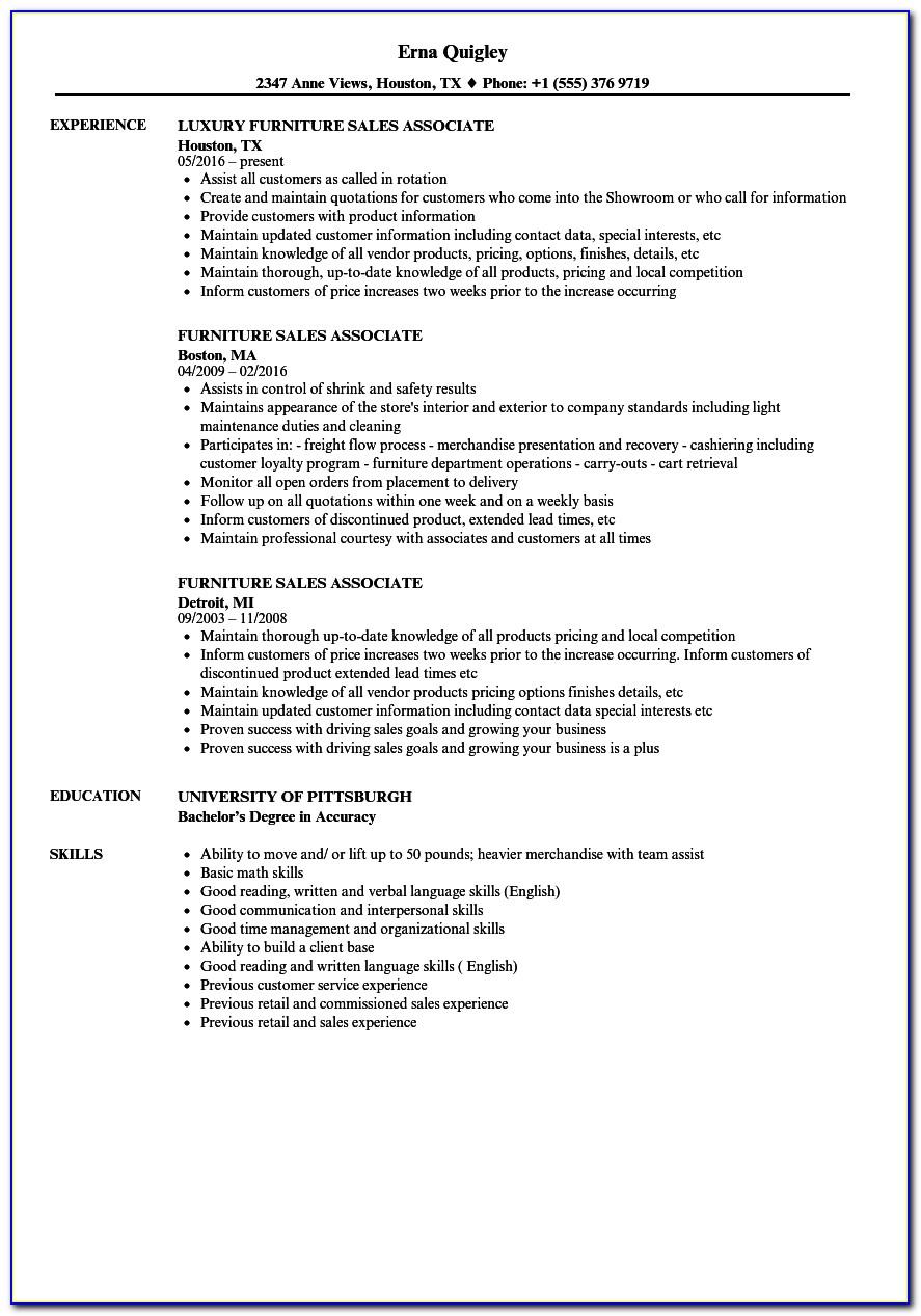 Resume Examples For Professionals