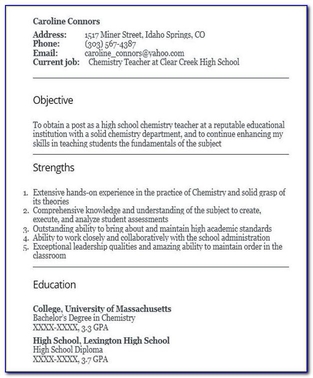 Resume Format For Sales Executive Job