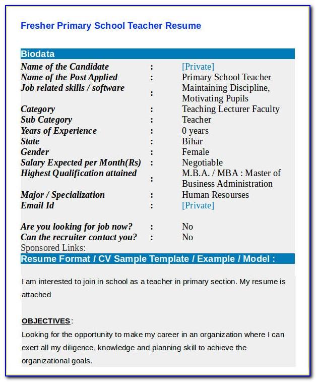 Resume Format For Sales Job