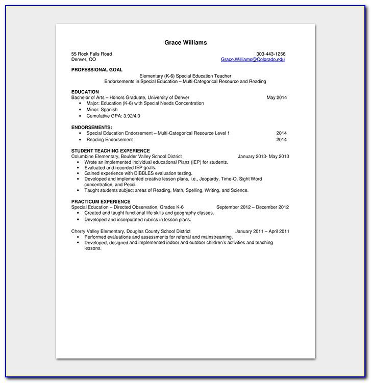 Resume Format For Sales Position