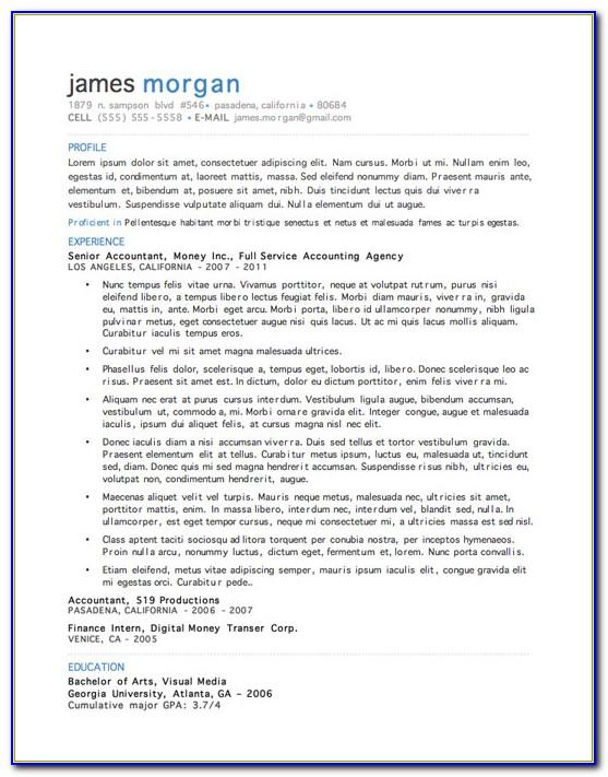 Resume Template For Microsoft Word 2007