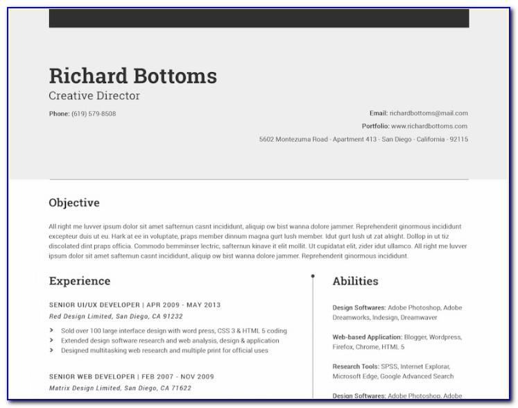 Resume Template For Microsoft Word 2013