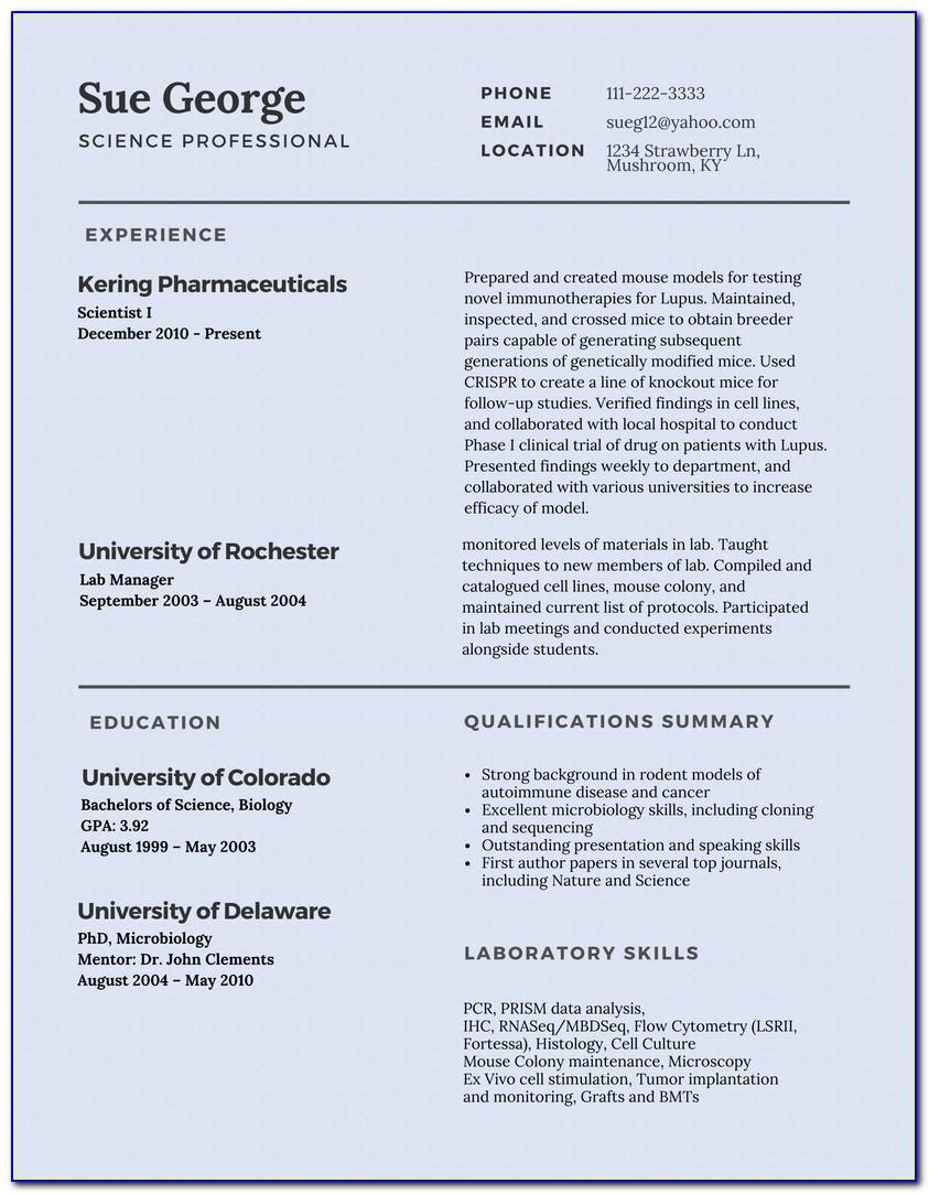 Resume Templates For Account Manager