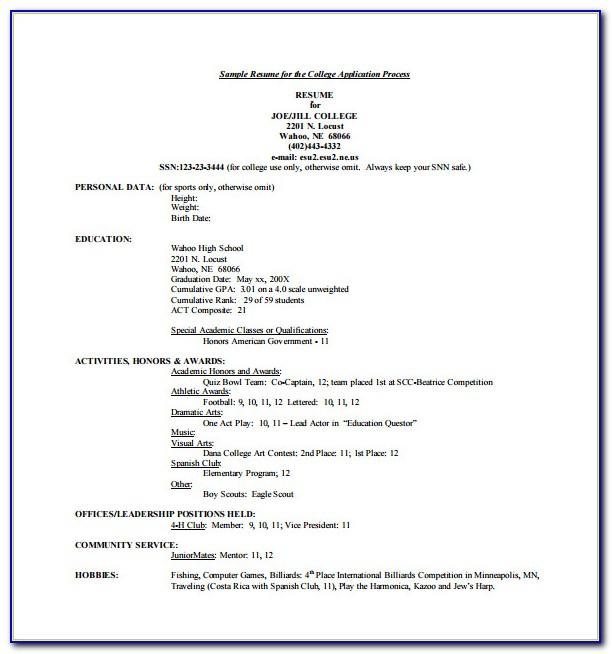 Resume Templates For Cleaner Job
