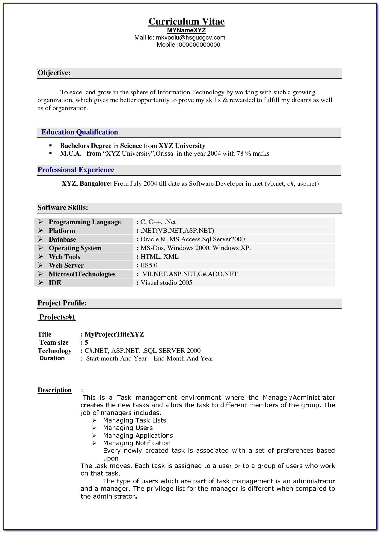 Resume Templates For Marketing Professionals