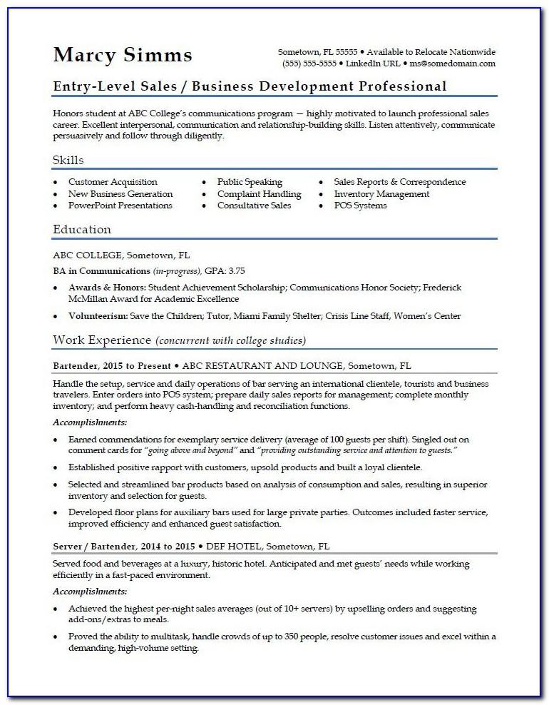 Resume Templates For Sales Consultant
