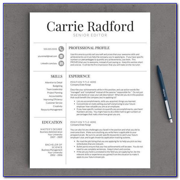 Best Professional Resume Template 2019